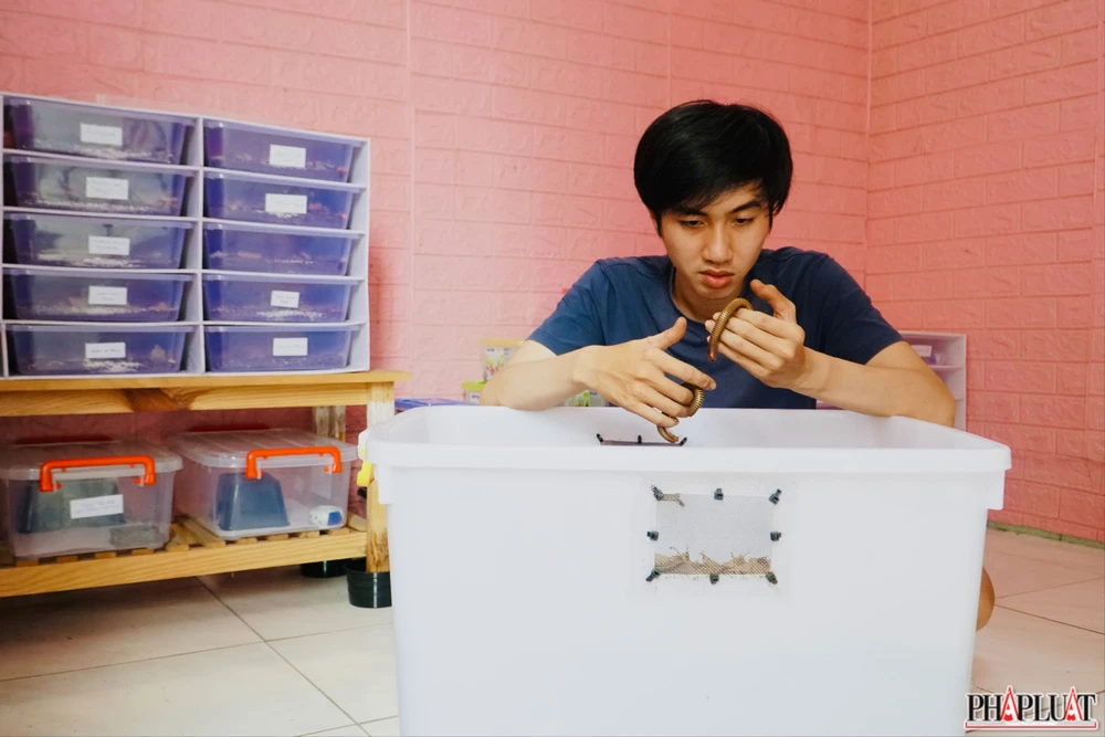 Ảnh 2 con-cuon-chieu.jpg