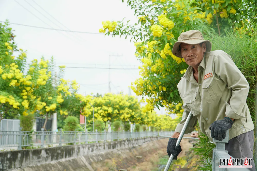 17 -hoa-huynh-lien. .jpg