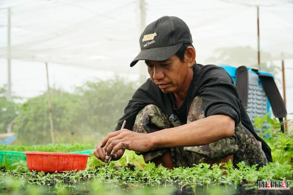 11 -lang-hoa-tan-ba.jpg