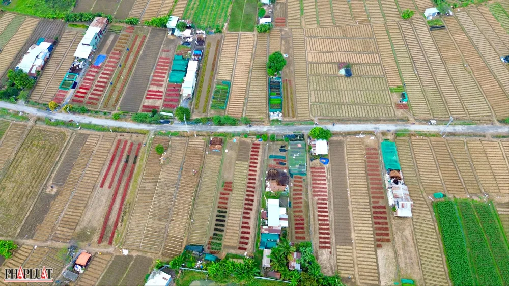 6 -lang-hoa-tan-ba .jpg