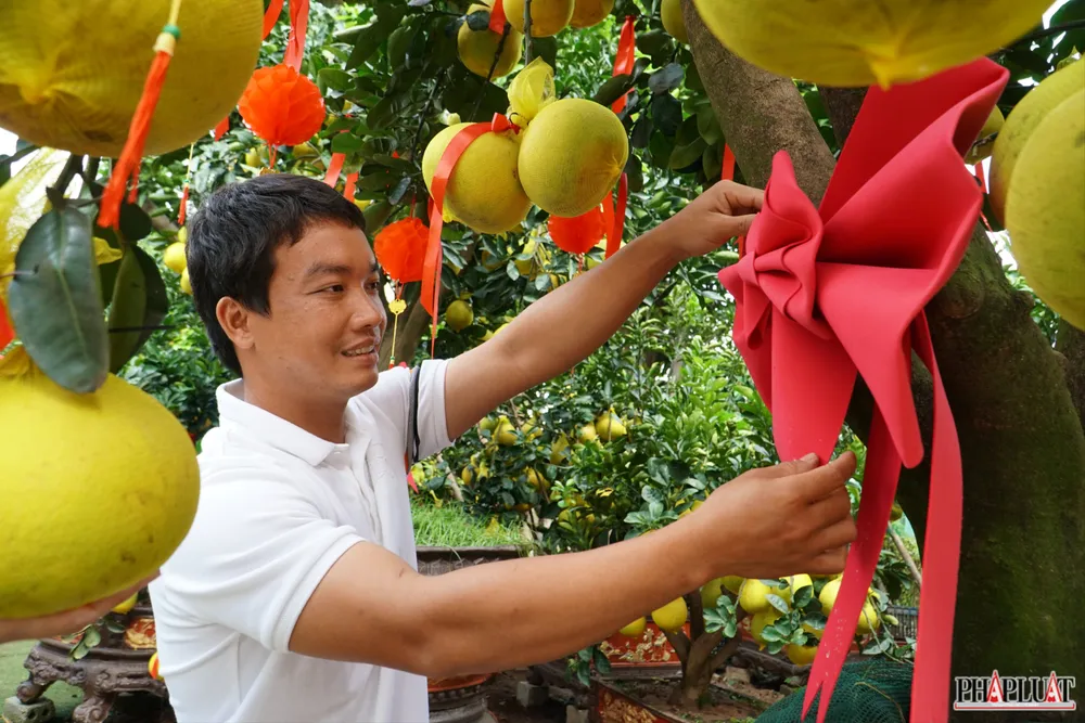 5 -cay-buoi-dien.jpg