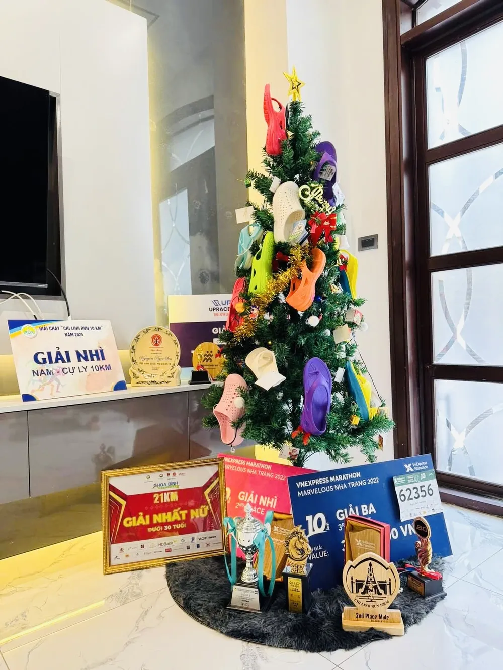 13 -cay-thong-noel.jpg