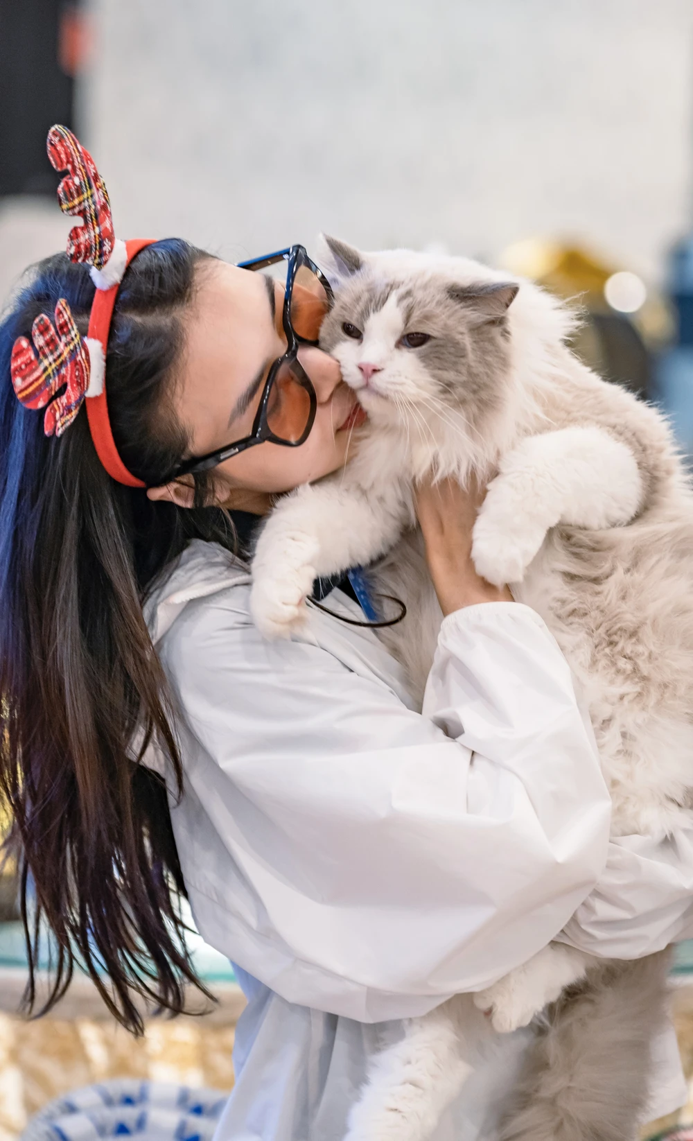 13 -WCF-Jubilee-Show.jpg