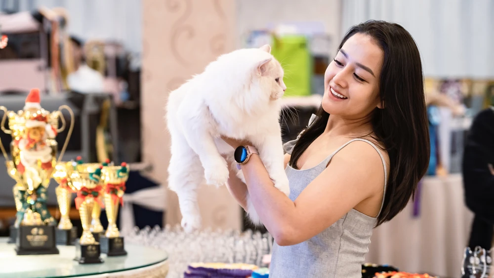 Các chú mèo tham gia WCF Jubilee Show đều được những nhà nhân giống chuyên nghiệp chăm sóc cẩn thận từ quá trình phối giống con bố mẹ đến chế độ ăn uống, cắt tỉa lông móng,…