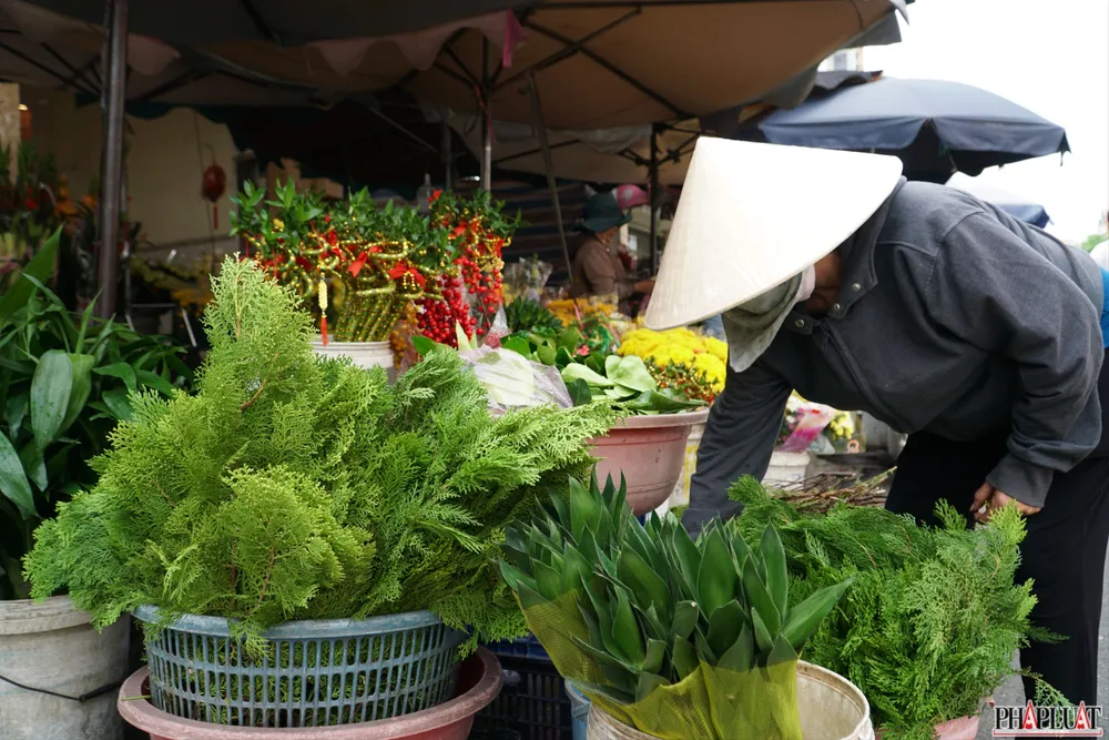 14 -trac-bach-diep.jpg