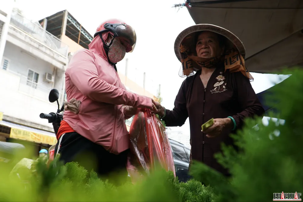 8 -trac-bach-diep.jpg