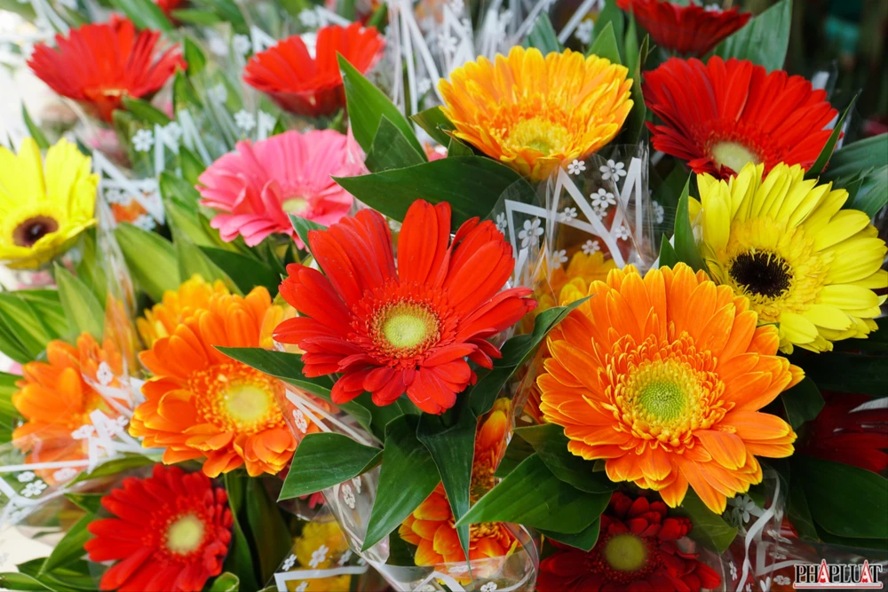 4 -hoa-dong-tien .jpg