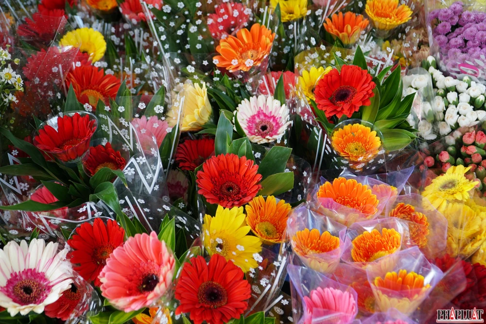 4.1 -hoa-dong-tien .jpg