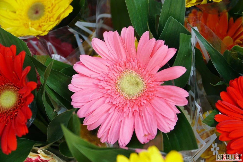 4.2 -hoa-dong-tien.jpg