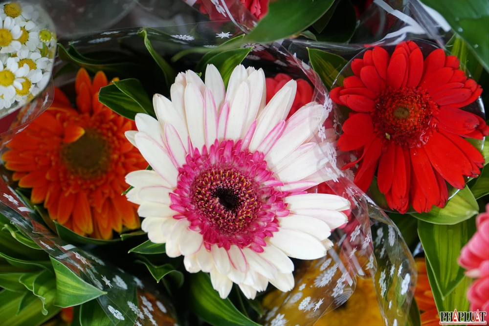 4.4 -hoa-dong-tien.jpg