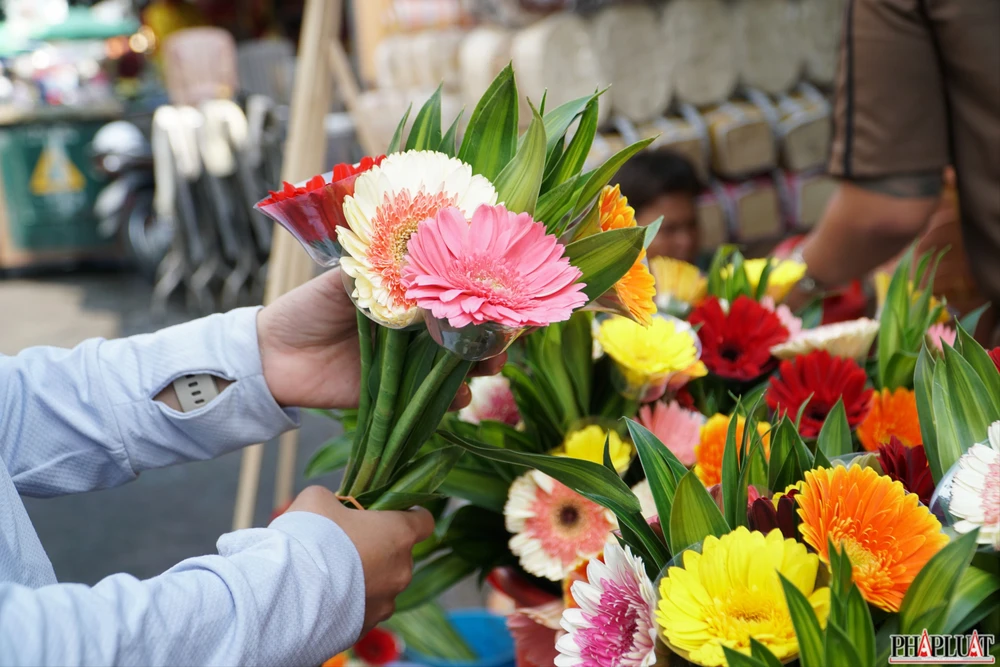 8 -hoa-dong-tien.jpg