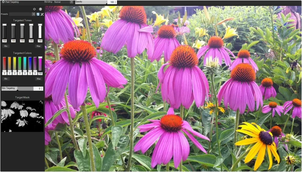 Những phần mềm nổi bật trong ngày ảnh 2