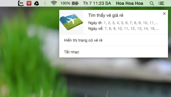 Săn vé máy bay giá rẻ trên mạng ảnh 4 Săn vé máy bay giá rẻ trên mạng ảnh 4