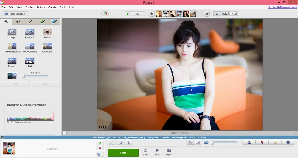 Picasa 3.9 tăng cường 24 bộ lọc mới ảnh 1