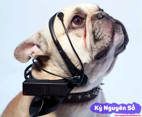 6 thiết bị giúp bạn có được siêu năng lực ảnh 3 6 thiết bị giúp bạn có được siêu năng lực ảnh 3