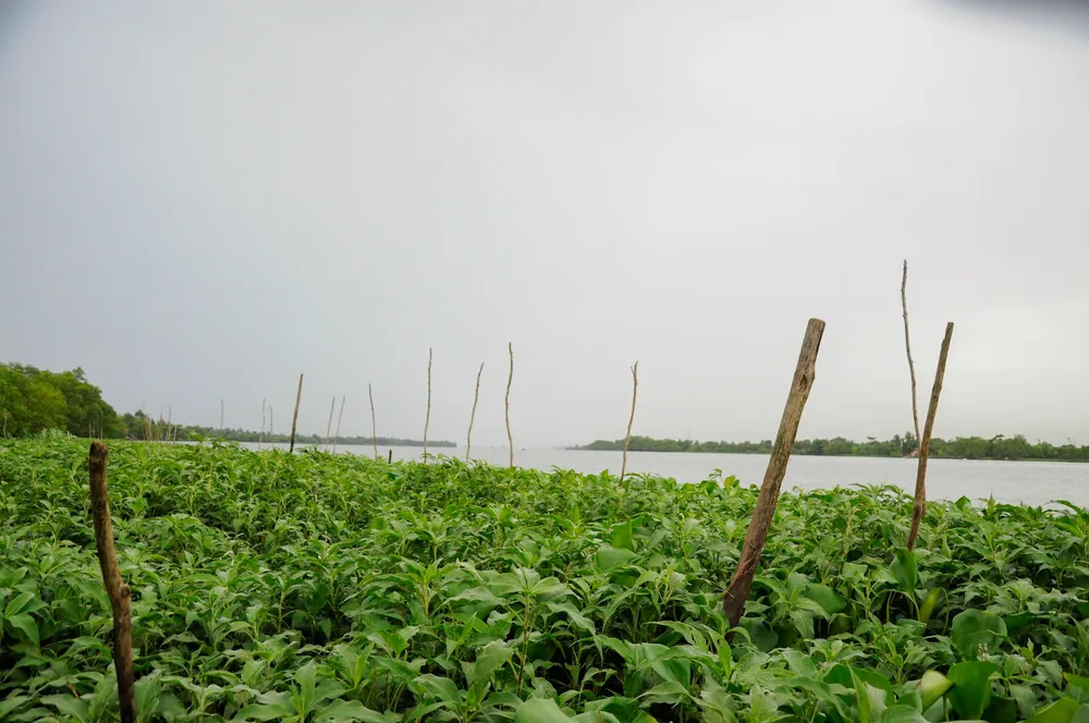 Hai điểm du lịch gần thành phố bạn không nên bỏ qua ảnh 12