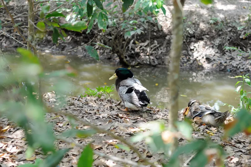 Hai điểm du lịch gần thành phố bạn không nên bỏ qua ảnh 6