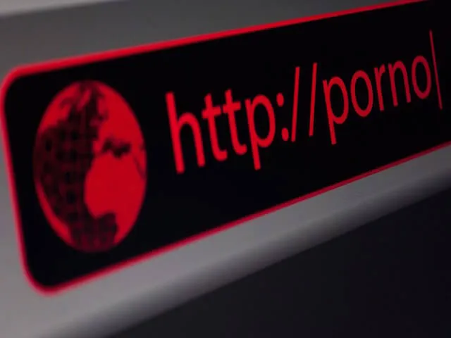 Xem phim khiêu dâm nhiều sẽ làm hư smartphone ảnh 2