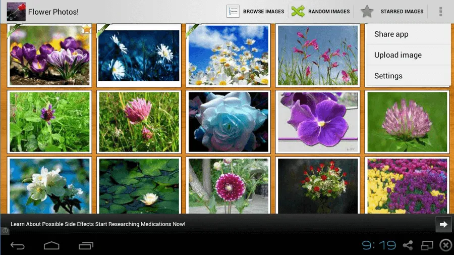 Kho ảnh nền cực đẹp cho ngày 8/3 ảnh 1 Kho ảnh nền cực đẹp cho ngày 8/3 ảnh 1