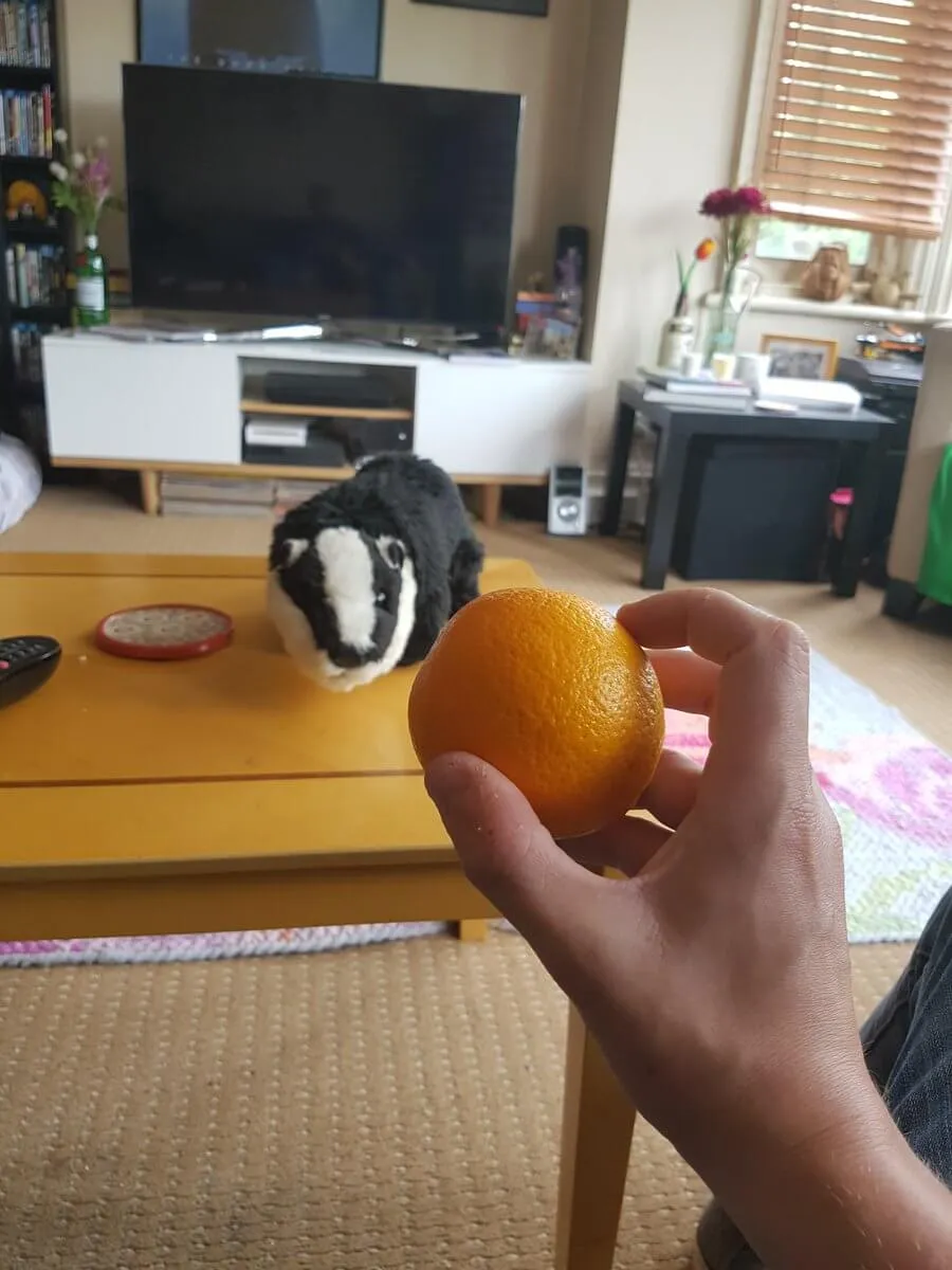 Nhiều người nói rằng họ không biết phải làm gì khi không chơi Pokémon Go 