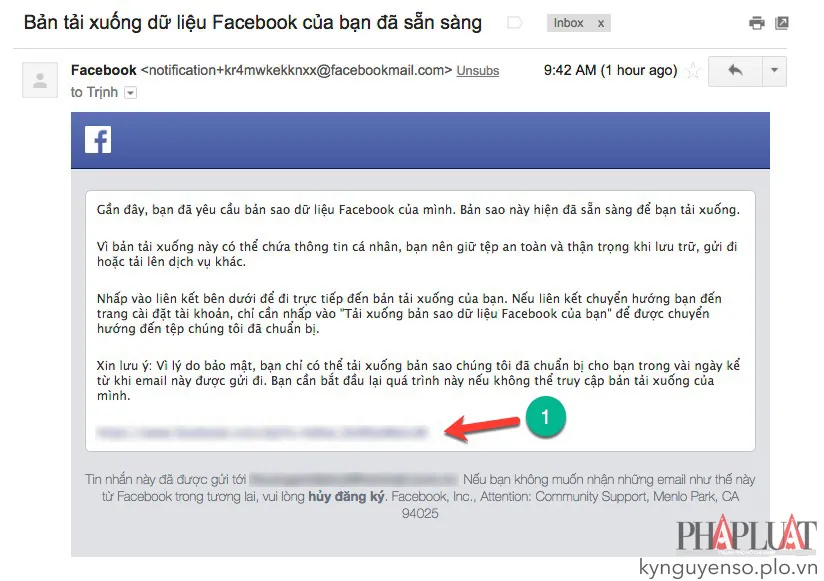 Liên kết tải toàn bộ dữ liệu sẽ được gửi qua email. Ảnh: MINH HOÀNG