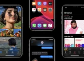 Cách sử dụng tiết kiệm dữ liệu 4G trên iPhone ảnh 4 Cách tải iOS 13 Beta cho iPhone
