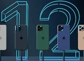 Cần làm gì khi tính năng Back Tap trên iPhone không hoạt động? ảnh 7 Người dùng phàn nàn vì iPhone 12 Pro hao pin bất thường