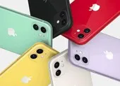 iPhone 12 mini giảm giá nhẹ 3,6 triệu đồng ảnh 4 iPhone 11 64 GB giá chỉ còn 12,9 triệu đồng