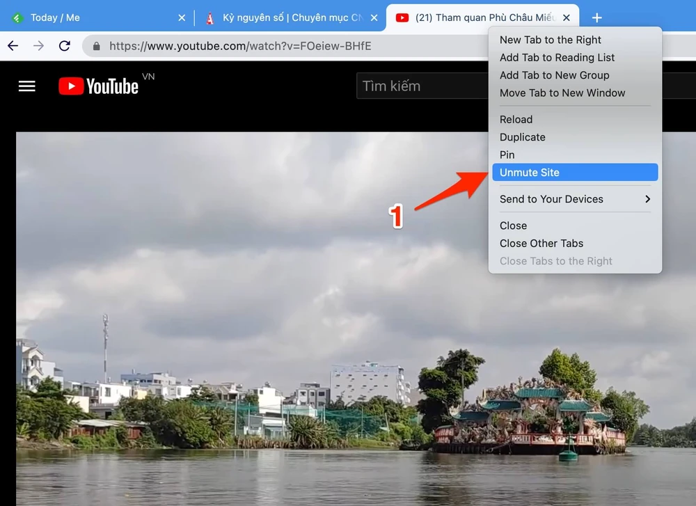 tat-tinh-nang-mute-site