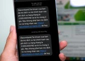 Chuyên gia gợi ý 3 cách mua sắm an toàn trong ngày 11-11 ảnh 2 Người dùng ngân hàng lại hoang mang vì tin nhắn lạ