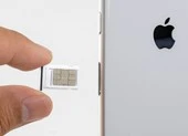 Apple phải tạm thời đóng cửa hàng loạt nhà máy sản xuất iPhone vì lý do sau ảnh 1 Vì sao Apple muốn loại bỏ khe cắm SIM trên iPhone vào năm sau?