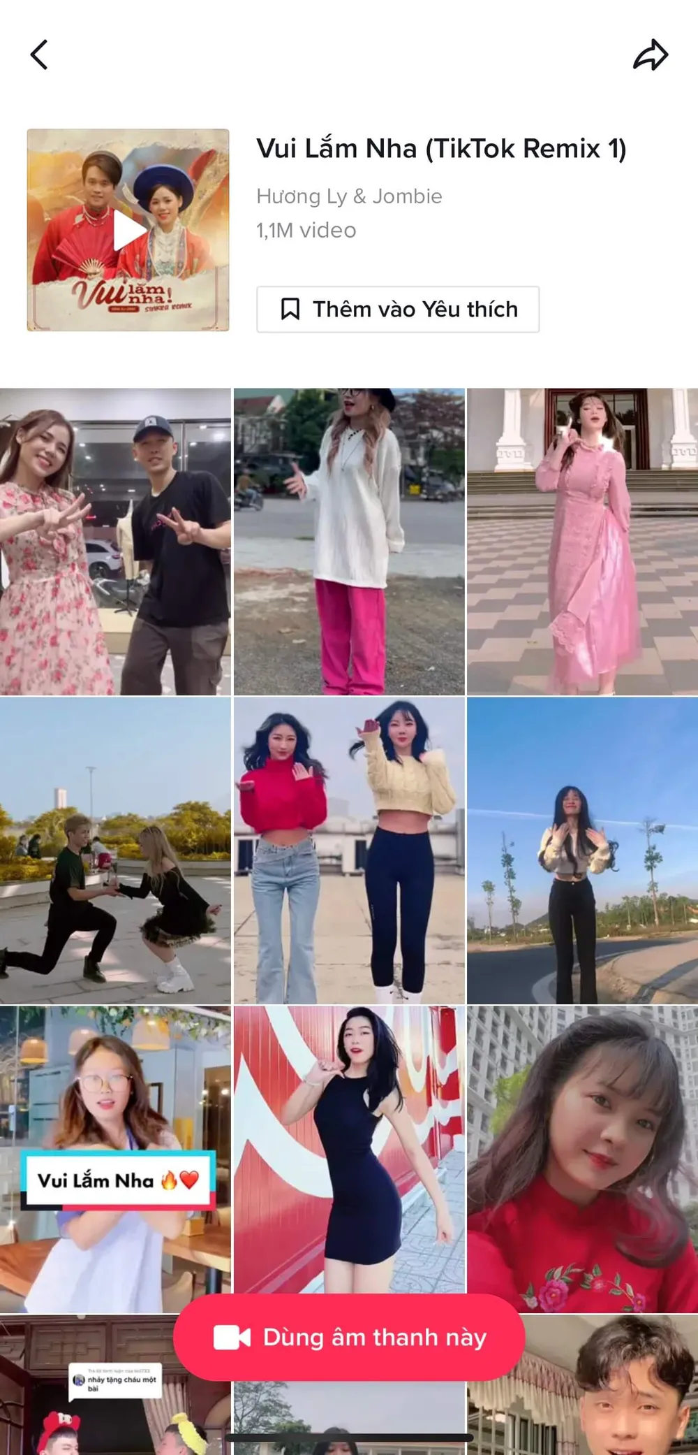 vui-lam-nha-tiktok