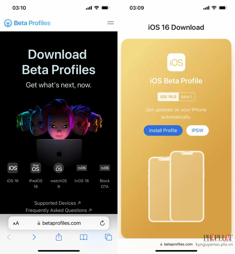 Tải về Profile nhà phát triển tương ứng. Ảnh: MINH HOÀNG