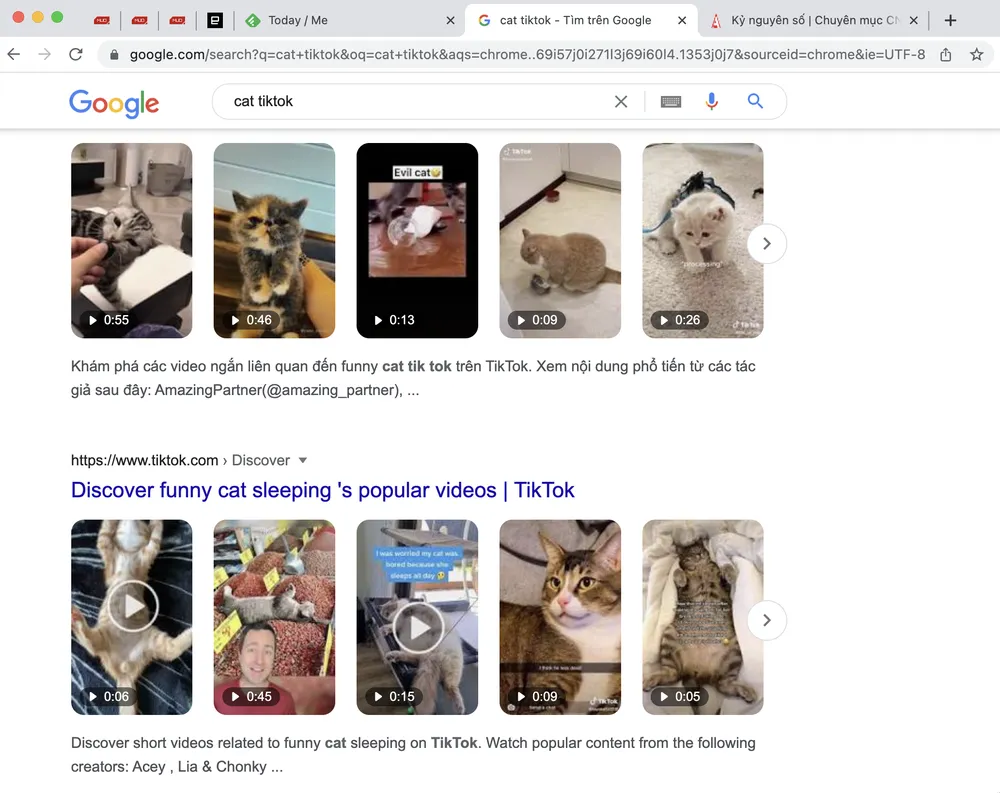 tim-kiem-video-tren-google Google đã lập chỉ mục video trên TikTok và Instagram. Ảnh: TIỂU MINH