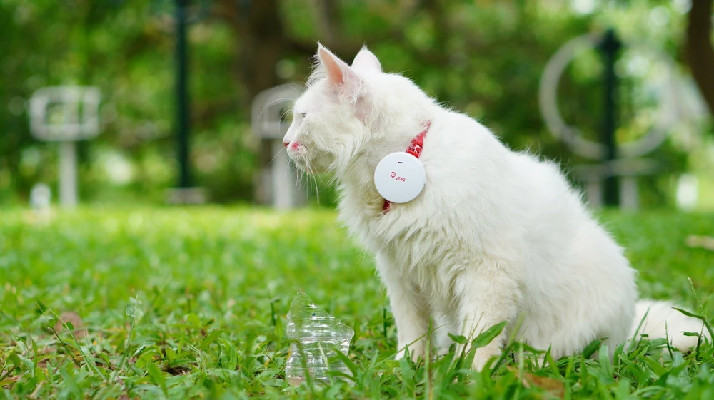 thiet-bi-dinh-vi-vtag