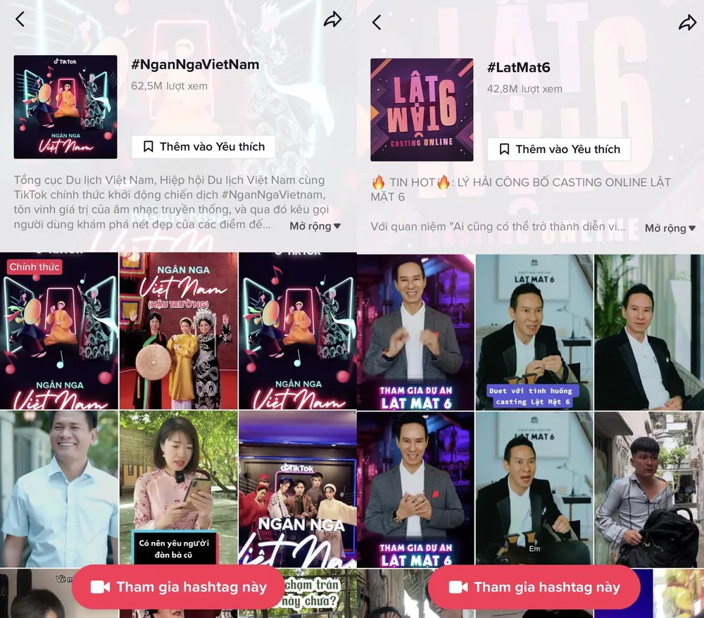 2-chien-dich-tiktok 2-chien-dich-tiktok