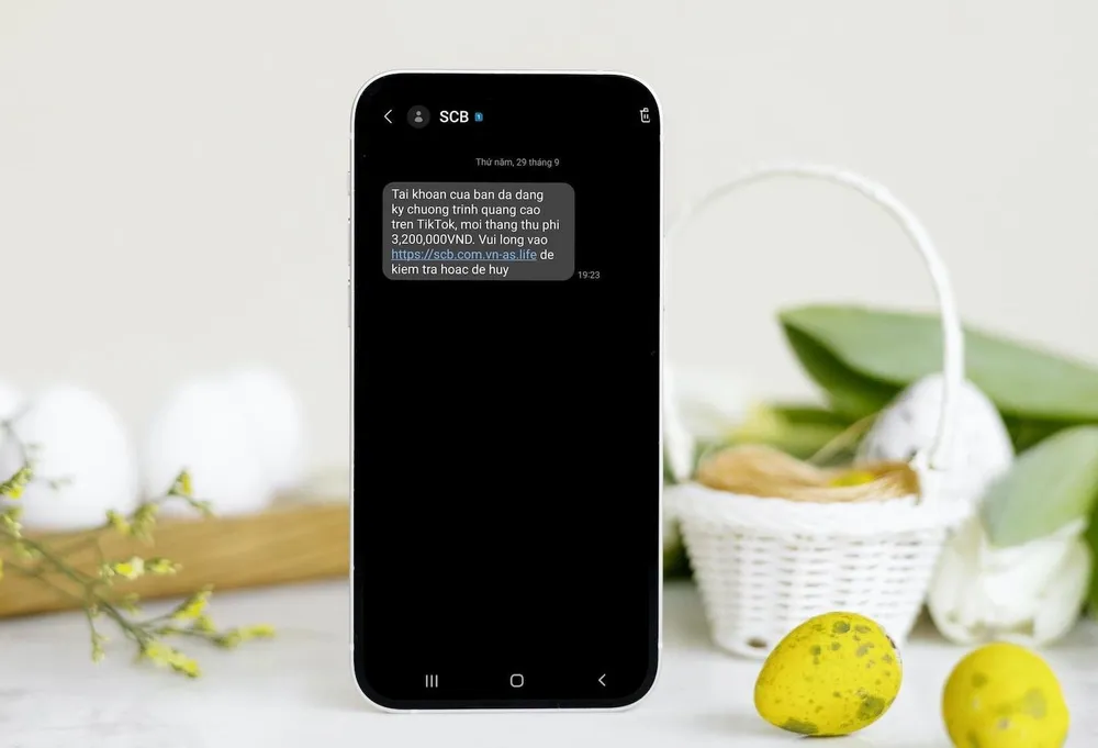 Cẩn trọng chiêu trò lừa đảo giả mạo TikTok. Ảnh: TIỂU MINH