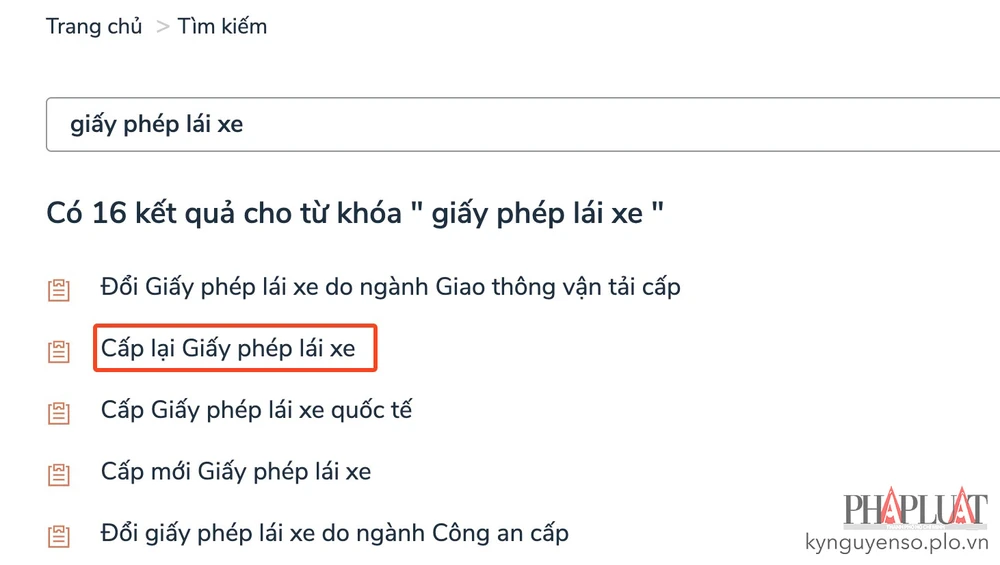 Gửi yêu cầu cấp lại giấy phép lái xe ngay tại nhà. Ảnh: MINH HOÀNG