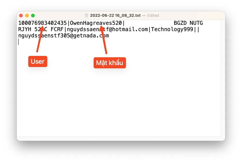 Thông tin kẻ gian thu thập được bao gồm tên đăng nhập, mật khẩu, mã xác thực 2 lớp Facebook. Ảnh: TIỂU MINH