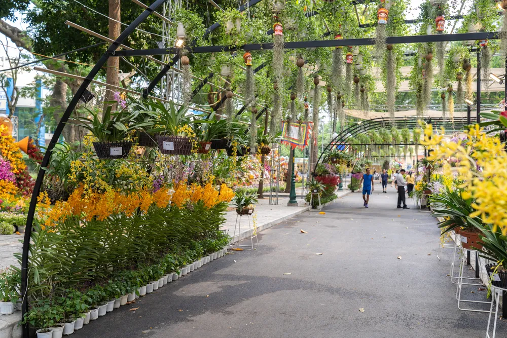 festival hoa lan 2023 thu hút nhiều du khách