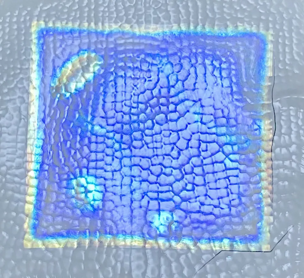 tấm film làm mát cellulose