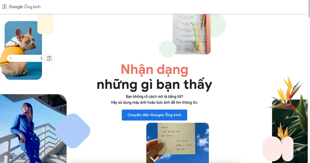 Tìm kiếm các bức ảnh tương tự để phát hiện hình ảnh do AI tạo ra. Ảnh: TIỂU MINH 