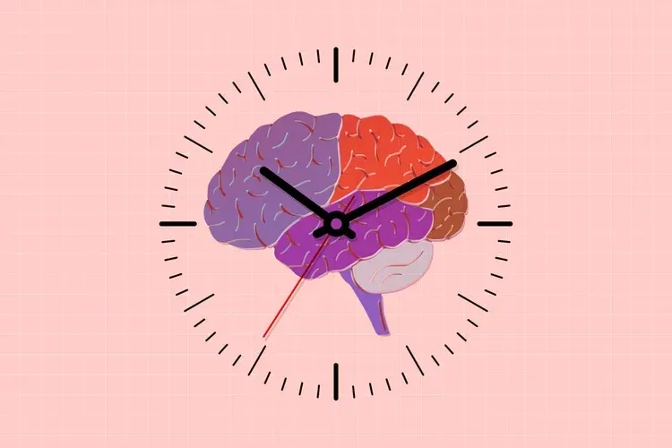 Điều gì xảy ra với bộ não khi bạn già đi.