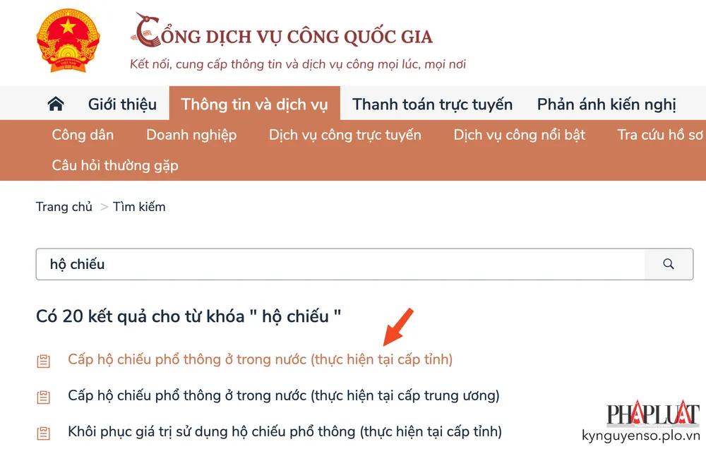 Chọn dịch vụ cấp hộ chiếu phổ thông ở trong nước. Ảnh: MINH HOÀNG