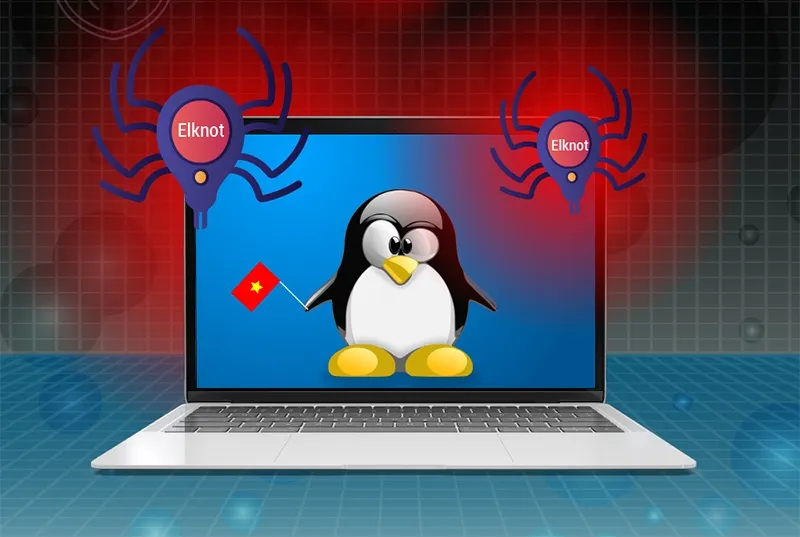 Virus Elknot được thiết kế để đánh cắp thông tin trên máy chủ. Ảnh minh họa