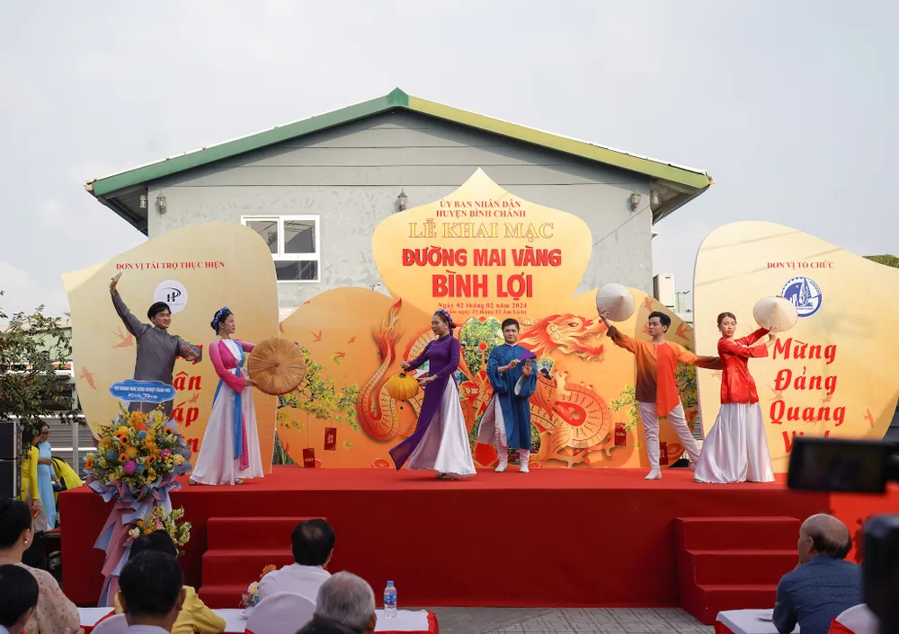 Khai mạc đường mai vàng Bình Lợi, xuân Giáp Thìn 2024. Ảnh: TIỂU MINH