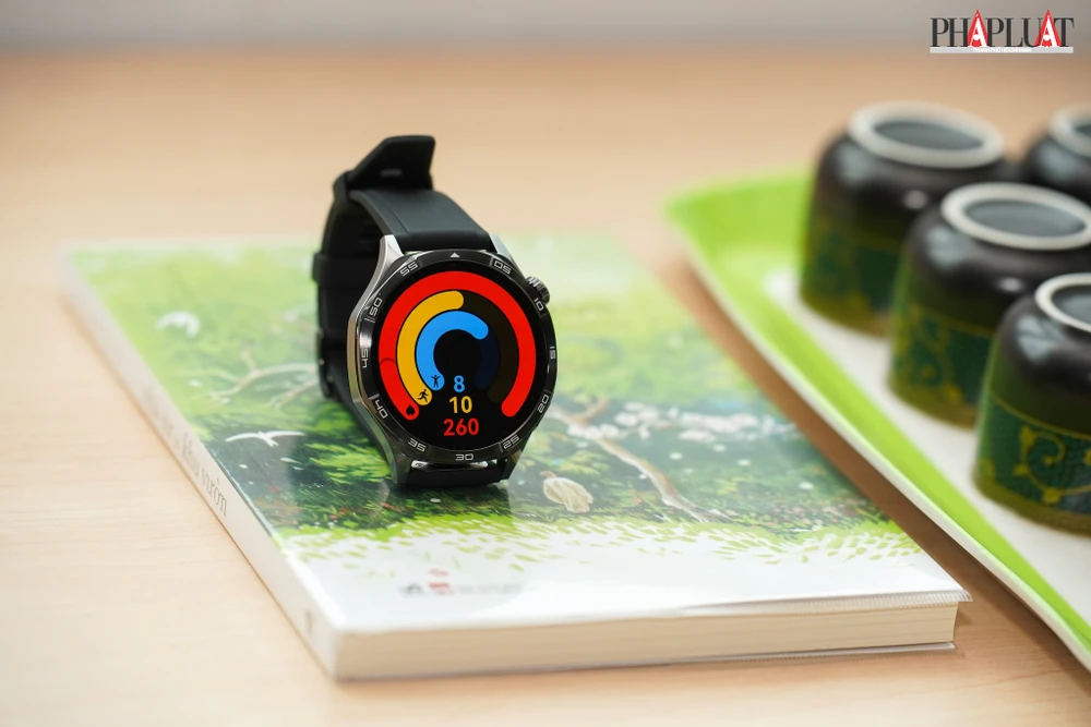 Biểu đồ vòng tròn hiển thị calo tiêu thụ, thời gian đứng và thời gian tập luyện. Ảnh: TIỂU MINH