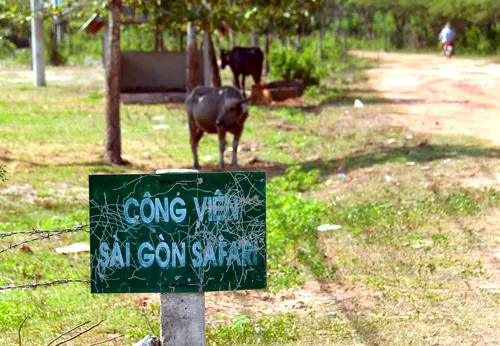 Xây nghỉ dưỡng trong siêu công viên Safari ảnh 1