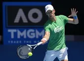 Thua kiện, ĐKVĐ Djokovic tuyên bố bỏ Úc mở rộng ảnh 2 Lý do Úc hủy visa lần 2 của tay vợt Djokovic