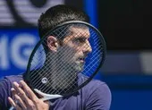 Sao MU mất trắng sau cáo buộc hiếp dâm ảnh 4 Djokovic không làm giả phiếu xét nghiệm COVID-19